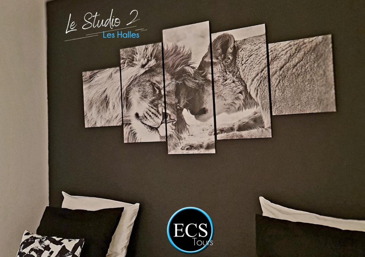 "Le Safari" - 2 Lits - Au Coeur Du Vieux Tours Daire Dış mekan fotoğraf